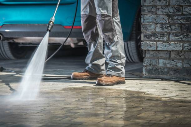 Best Building Exterior Washing  in Holley, FL
